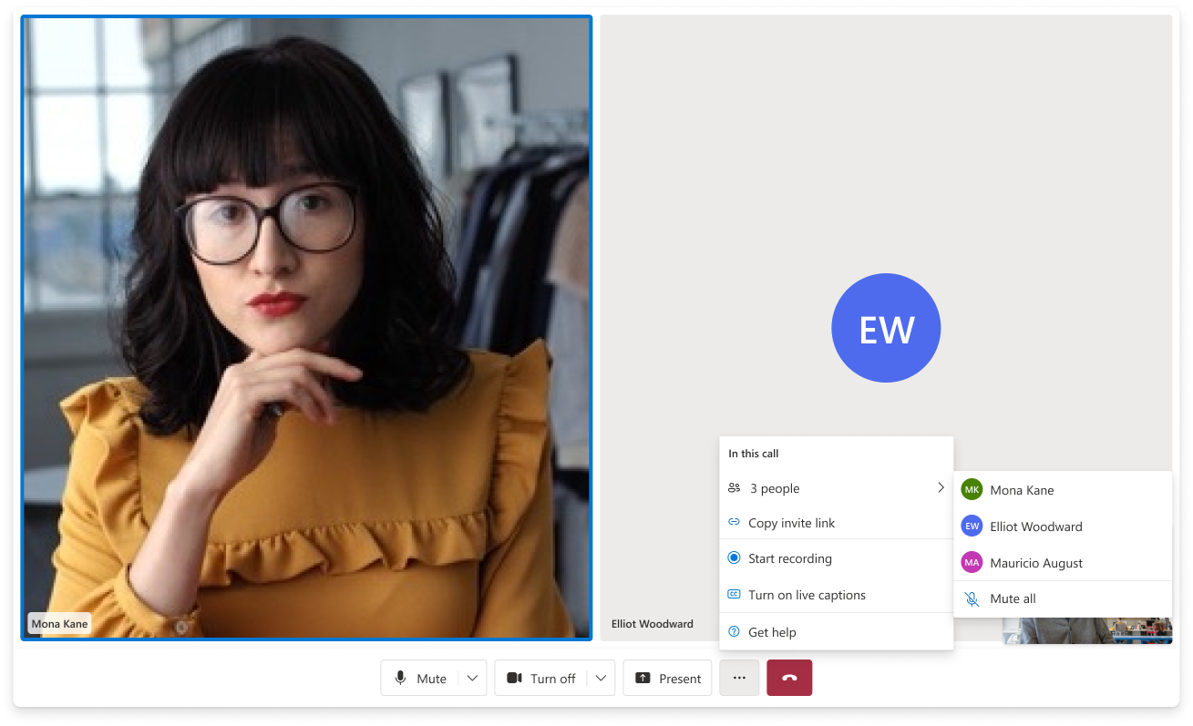 Participant panel — names, mute states, and controls