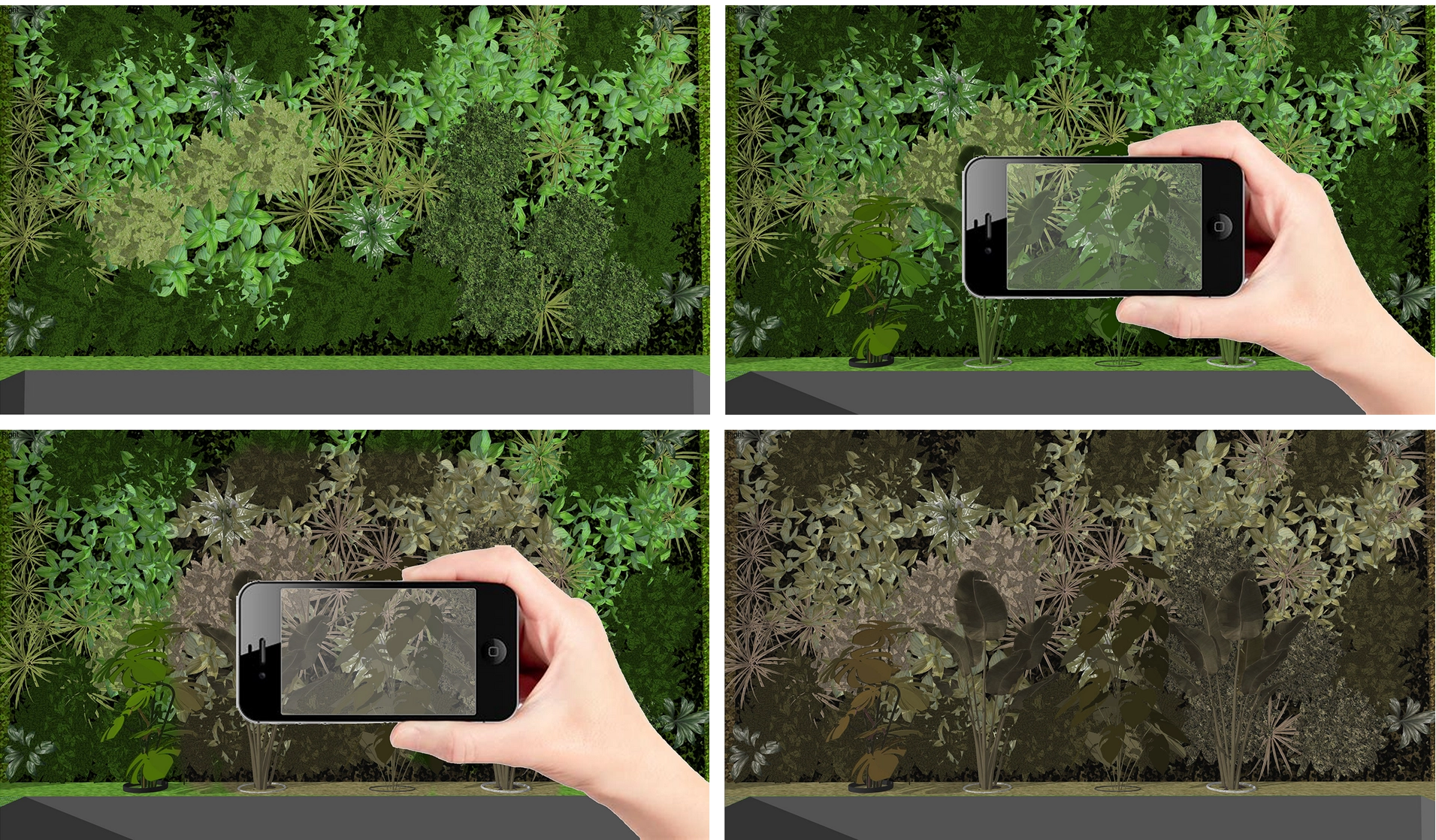 Interaction animation showing plant response