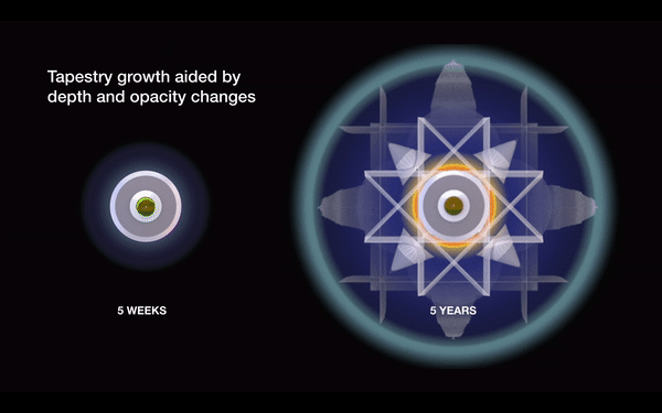 Visual state — tapestry growth over time